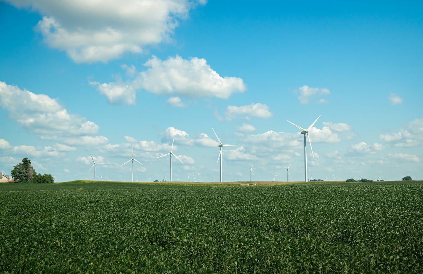 Wind turbines turn in a sunny green field under blue skies.
